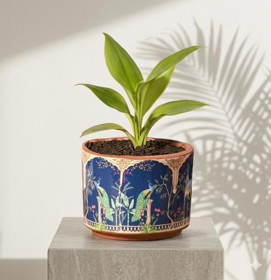 Royal Peacock Terracotta Pot