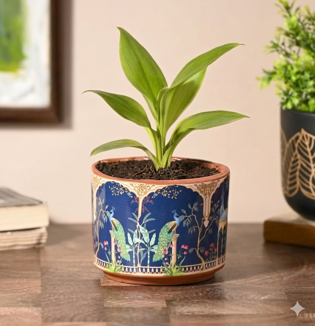Royal Peacock Terracotta Pot